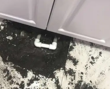 东平查漏水哪家好