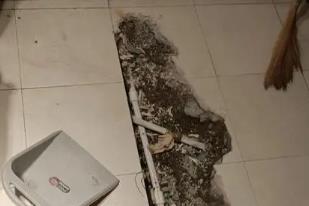 东平卫生间漏水检测电话